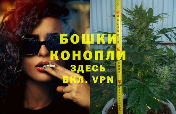 кокаин колумбия Дмитриев