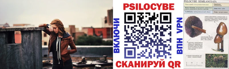 Галлюциногенные грибы Psilocybe  Нальчик 